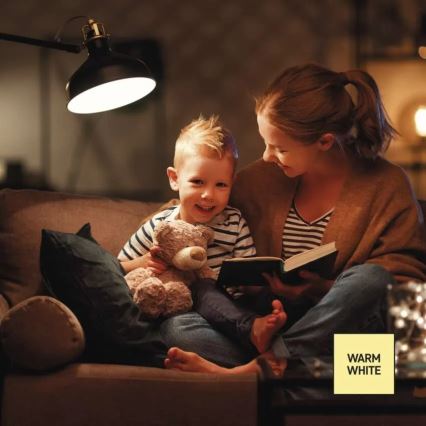 Диммируемая светодиодная лампа A60 E27/10,5W/230V 2700K