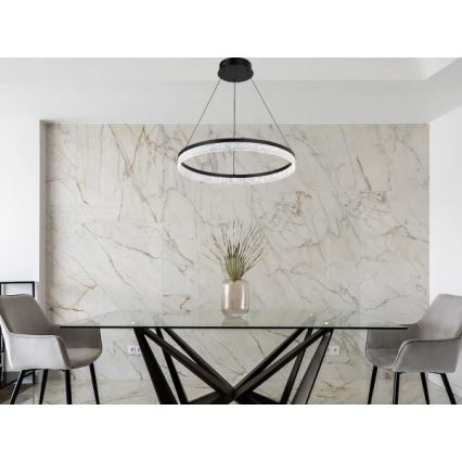 Диммируемая LED-подвесная люстра на тросе ALIANZ LED/60W/230V 3000-6000K диаметр 80 см + пульт дистанционного управления