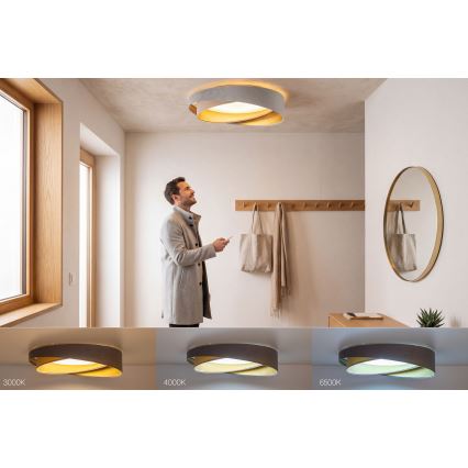 Диммируемый LED потолочный светильник SMART GALAXY MODERN, 24 Вт, 230 В, 3000–6500 К, диаметр 55 см, серый/бежевый/золотой, с пультом дистанционного управления