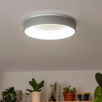 Диммируемый потолочный светодиодный светильник FALCON LED/80W/230V 3000-6500K Ø 60 см, серый + пульт дистанционного управления