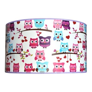 Дитячий стельовий світильник OWLS 2xE27/60W/230V