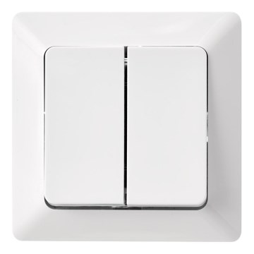 Домашній вимикач змінного току подвійний 250V/10A