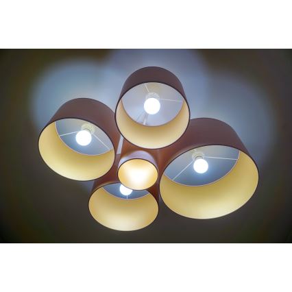 Duolla - Потолочный светильник ROLLER PENTO 5xE27/60W/230V розовый