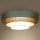 Duolla - Стельовий LED світильник LUNETA LED/26W/230V діаметр 60 см 4000K бірюзовий/бежевий/кремовий
