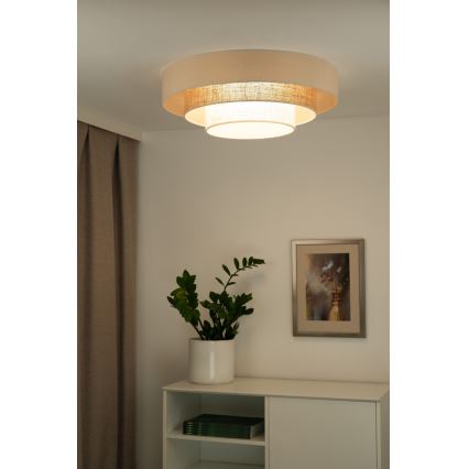 Duolla - Стельовий LED світильник LUNETA LED/26W/230V діаметр 60 см 4000K ротанґ/бежевий/коричневий