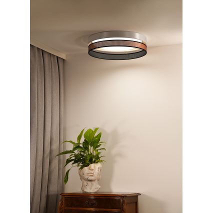 Duolla - Стельовий LED світильник ROLLER DUO SHINY LED/24W/230V діаметр 45 см білий/мідний