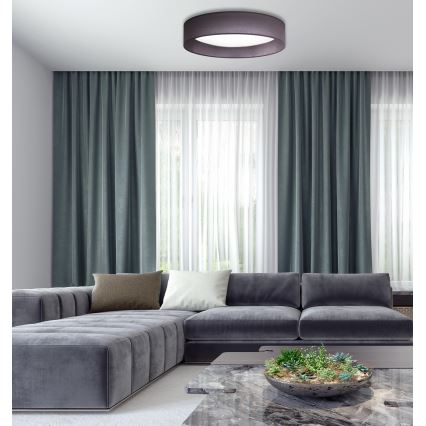 Duolla - Стельовий LED світильник ROLLER LED/24W/230V діаметр 45 см антрацит