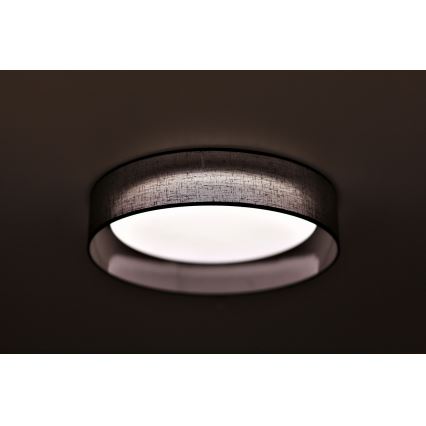 Duolla - Стельовий LED світильник ROLLER LED/24W/230V діаметр 45 см антрацит