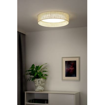 Duolla - Стельовий LED світильник ROLLER LED/24W/230V діаметр 45 см бежевий