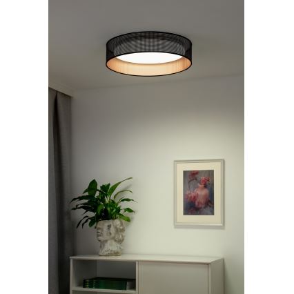 Duolla - Стельовий LED світильник ROLLER LED/24W/230V діаметр 45 см чорний/мідний