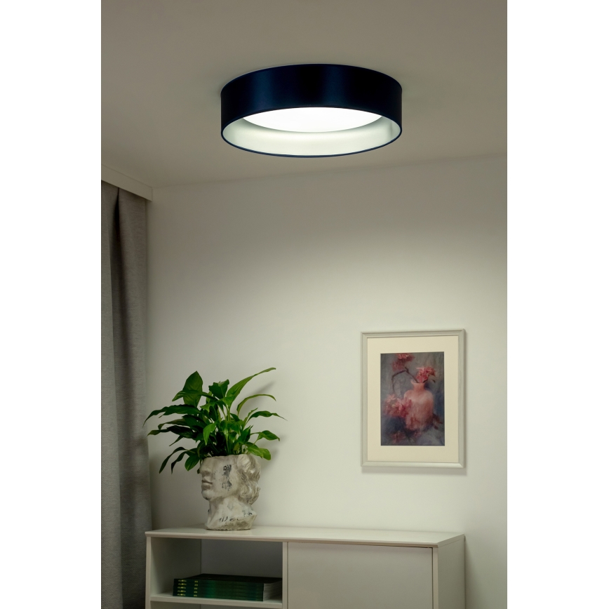 Duolla - Стельовий LED світильник ROLLER LED/24W/230V діаметр 45 см синій/срібний