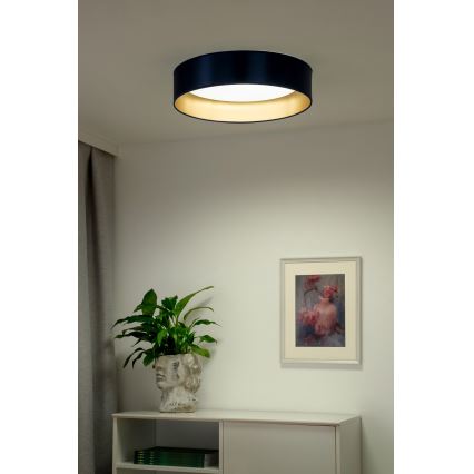 Duolla - Стельовий LED світильник ROLLER LED/24W/230V діаметр 45 см синій/золотий