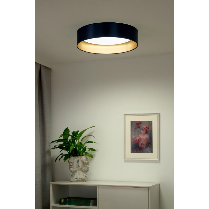 Duolla - Стельовий LED світильник ROLLER LED/24W/230V діаметр 45 см синій/золотий