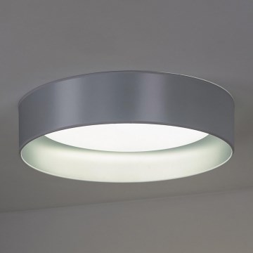 Duolla - Стельовий LED світильник ROLLER LED/24W/230V діаметр 45 см срібний