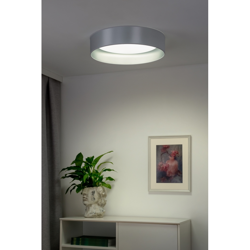 Duolla - Стельовий LED світильник ROLLER LED/24W/230V діаметр 45 см срібний