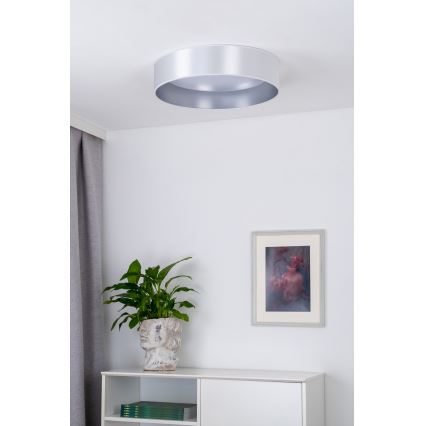 Duolla - Стельовий LED світильник ROLLER LED/24W/230V діаметр 45 см срібний