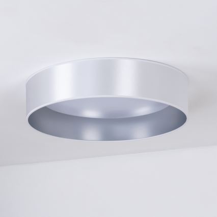 Duolla - Стельовий LED світильник ROLLER LED/24W/230V діаметр 45 см срібний