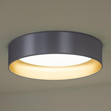 Duolla - Стельовий LED світильник ROLLER LED/24W/230V діаметр 45 см срібний/золотий