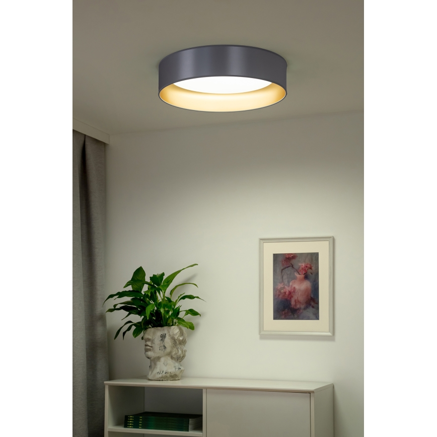 Duolla - Стельовий LED світильник ROLLER LED/24W/230V діаметр 45 см срібний/золотий