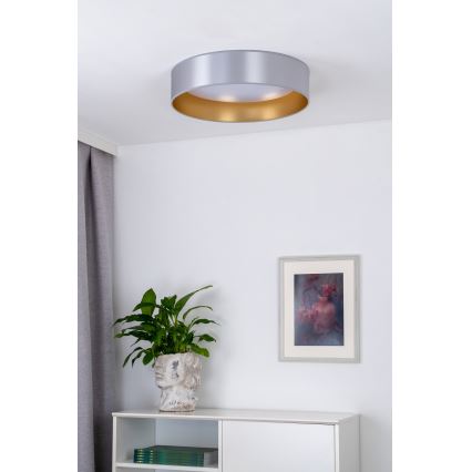 Duolla - Стельовий LED світильник ROLLER LED/24W/230V діаметр 45 см срібний/золотий