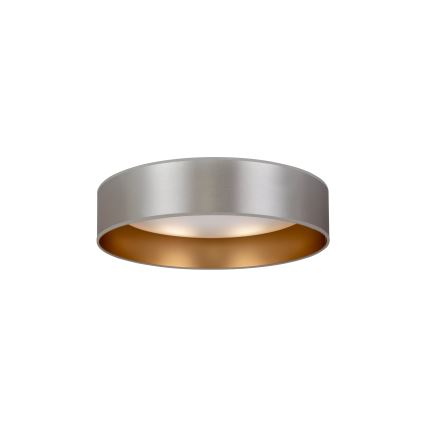 Duolla - Стельовий LED світильник ROLLER LED/24W/230V діаметр 45 см срібний/золотий
