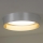 Duolla - Стельовий LED світильник ROLLER LED/24W/230V діаметр 45 см срібний/золотий