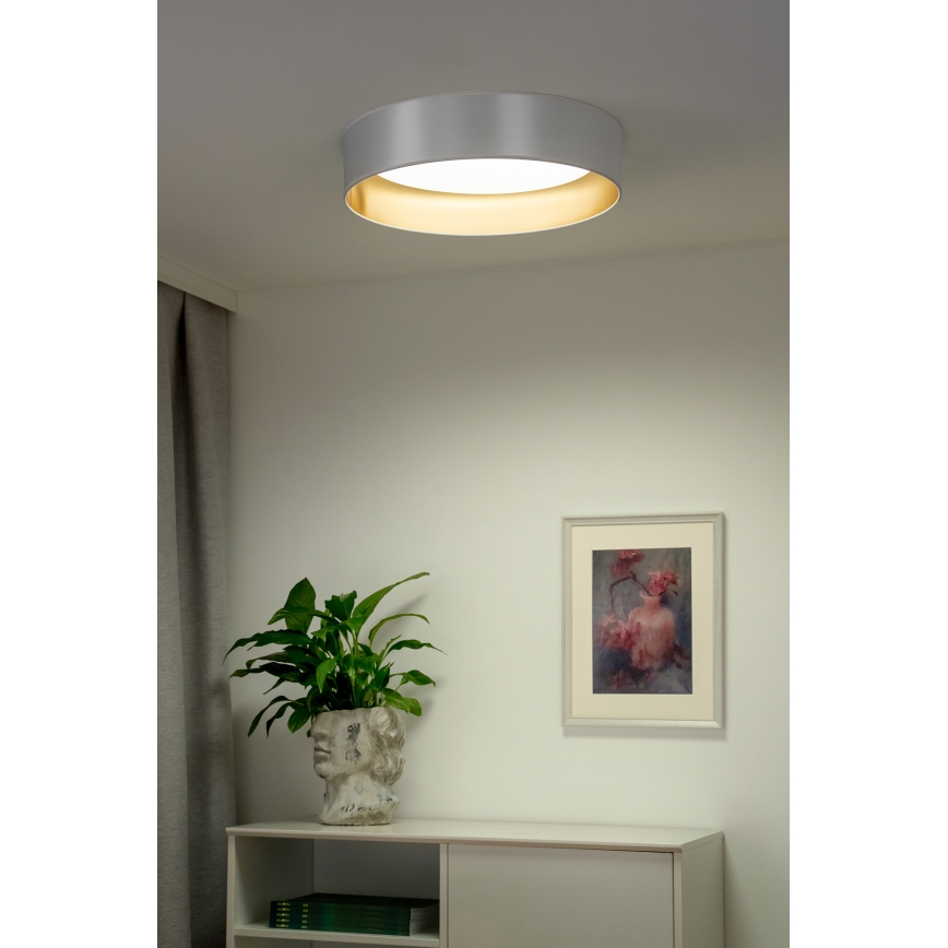 Duolla - Стельовий LED світильник ROLLER LED/24W/230V діаметр 45 см срібний/золотий