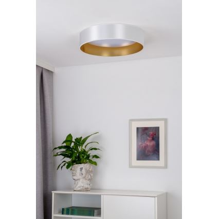 Duolla - Стельовий LED світильник ROLLER LED/24W/230V діаметр 45 см срібний/золотий