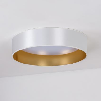 Duolla - Стельовий LED світильник ROLLER LED/24W/230V діаметр 45 см срібний/золотий