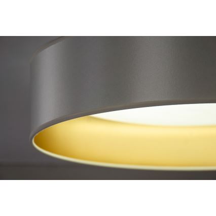 Duolla - Стельовий LED світильник ROLLER LED/24W/230V діаметр 45 см срібний/золотий