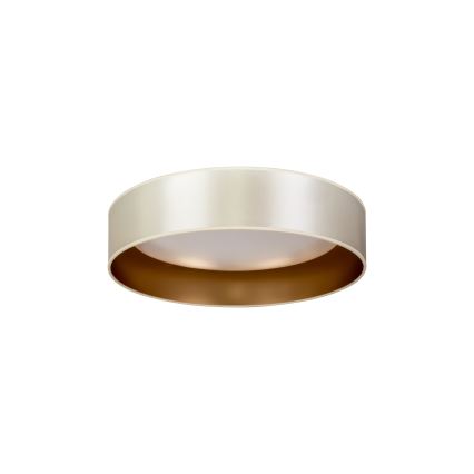 Duolla - Стельовий LED світильник ROLLER LED/24W/230V діаметр 45 см срібний/золотий