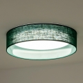 Duolla - Стельовий LED світильник ROLLER LED/24W/230V діаметр 45 см зелений