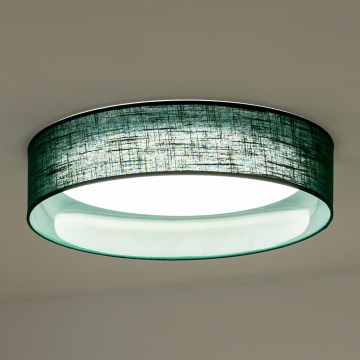 Duolla - Стельовий LED світильник ROLLER LED/24W/230V діаметр 45 см зелений