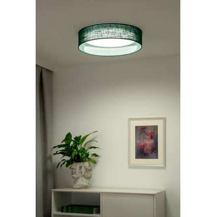 Duolla - Стельовий LED світильник ROLLER LED/24W/230V діаметр 45 см зелений