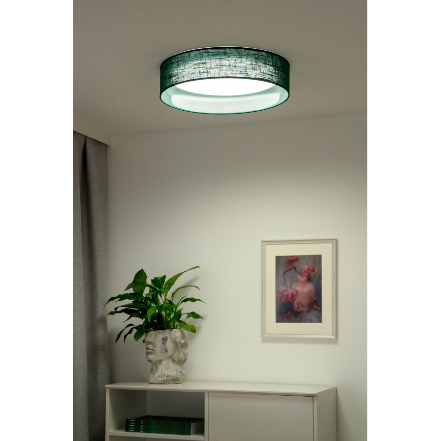 Duolla - Стельовий LED світильник ROLLER LED/24W/230V діаметр 45 см зелений
