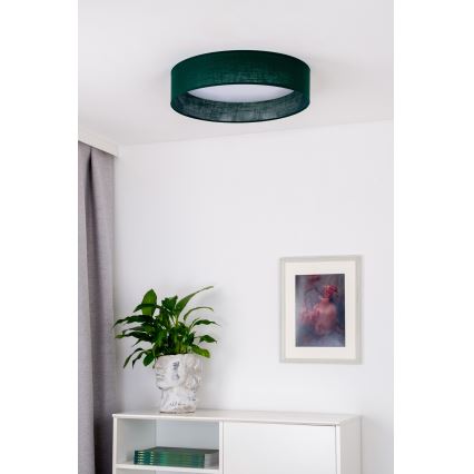 Duolla - Стельовий LED світильник ROLLER LED/24W/230V діаметр 45 см зелений