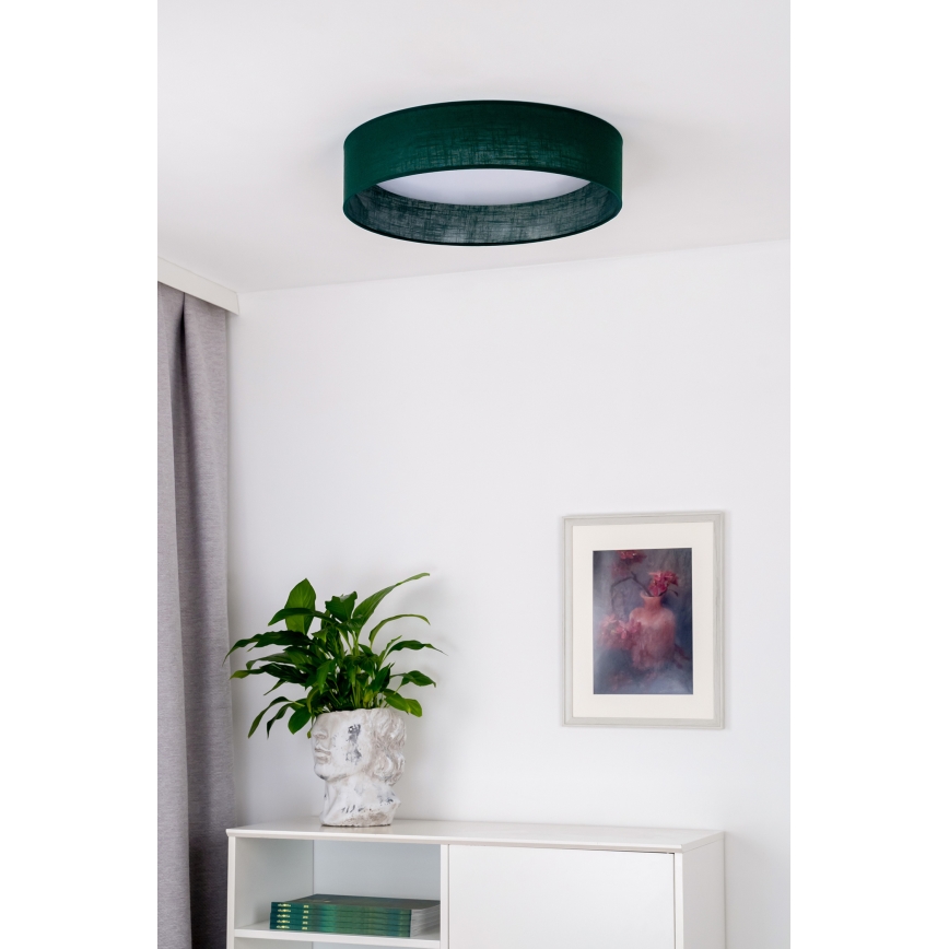 Duolla - Стельовий LED світильник ROLLER LED/24W/230V діаметр 45 см зелений