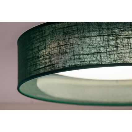 Duolla - Стельовий LED світильник ROLLER LED/24W/230V діаметр 45 см зелений