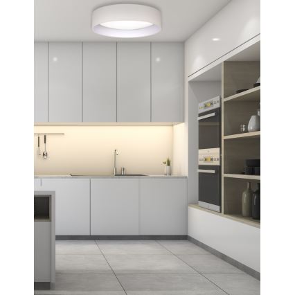 Duolla - Стельовий LED світильник ROLLER LED/24W/230V діаметр 45 см кремовий