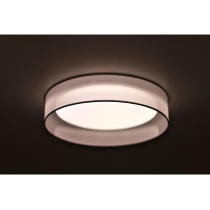 Duolla - Стельовий LED світильник ROLLER LED/24W/230V світлий діаметр 45 см сірий