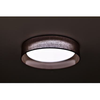 Duolla - Стельовий LED світильник ROLLER LED/24W/230V темний діаметр 45 см коричневий