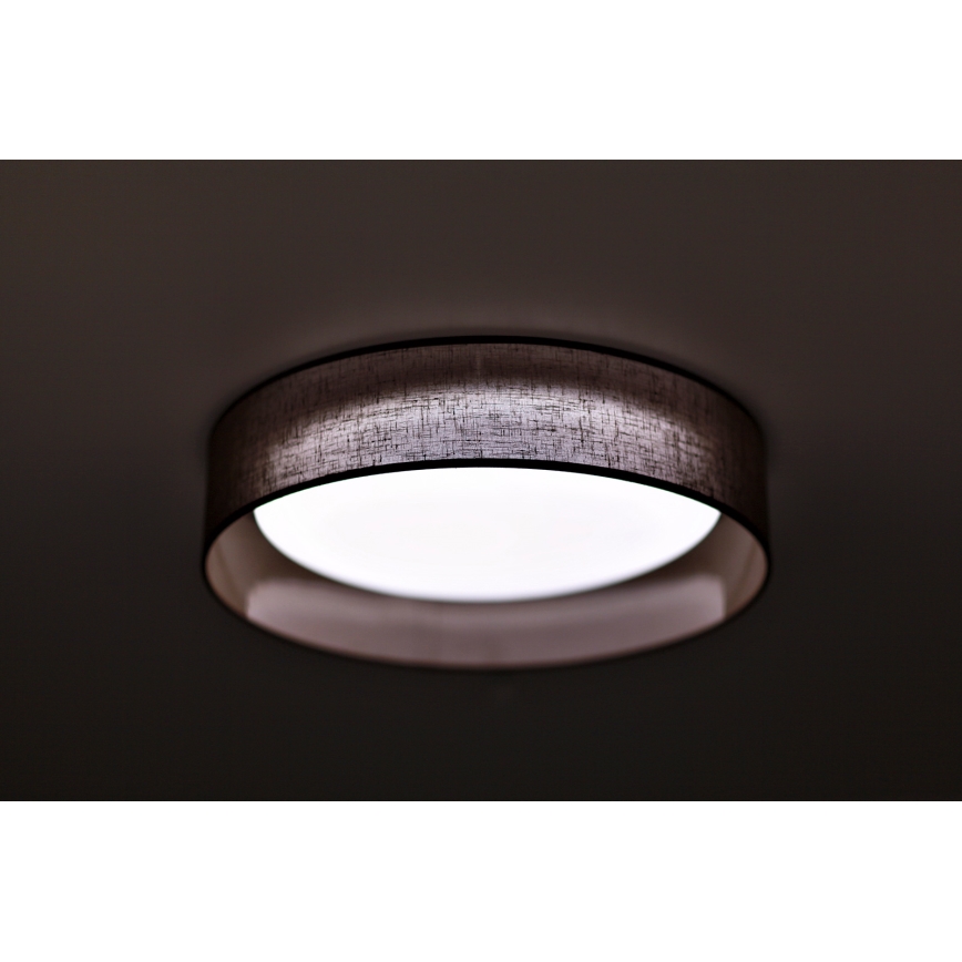 Duolla - Стельовий LED світильник ROLLER LED/24W/230V темний діаметр 45 см коричневий
