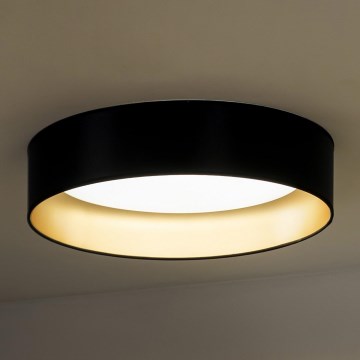 Duolla - Светодиодный потолочный светильник ROLLER LED/24W/230V диаметр 45 см черный/золотистый