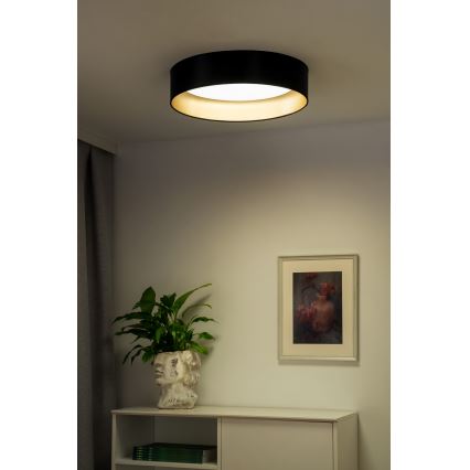 Duolla - Светодиодный потолочный светильник ROLLER LED/24W/230V диаметр 45 см черный/золотистый