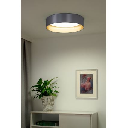 Duolla - Светодиодный потолочный светильник ROLLER LED/24W/230V диаметр 45 см серебристый/золотистый