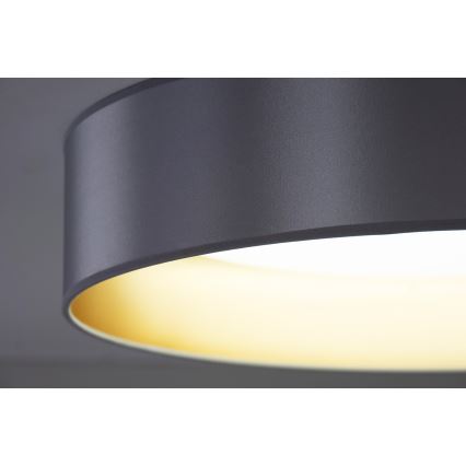 Duolla - Светодиодный потолочный светильник ROLLER LED/24W/230V диаметр 45 см серебристый/золотистый