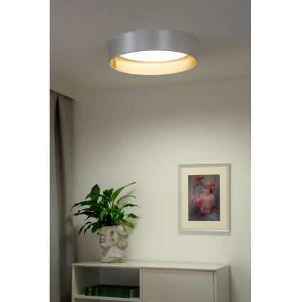 Duolla - Светодиодный потолочный светильник ROLLER LED/24W/230V диаметр 45 см серебристый/золотистый