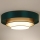 Duolla - Светодиодный потолочный светильник LUNETA LED/26W/230V диаметр 60 см 4000K зеленый/золотистый/белый