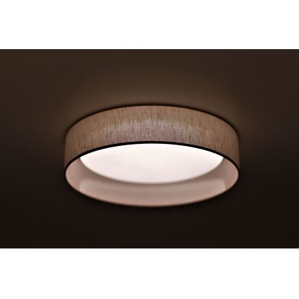 Duolla - Светодиодный потолочный светильник ROLLER LED/24W/230V диаметр 45 см бежевый