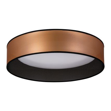 Duolla - Светодиодный потолочный светильник ROLLER LED/24W/230V диаметр 45 см медный/черный